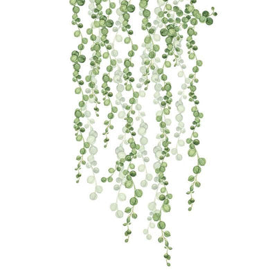 String of Pearls Vine Peel and Stick Wall Decals - Linentree